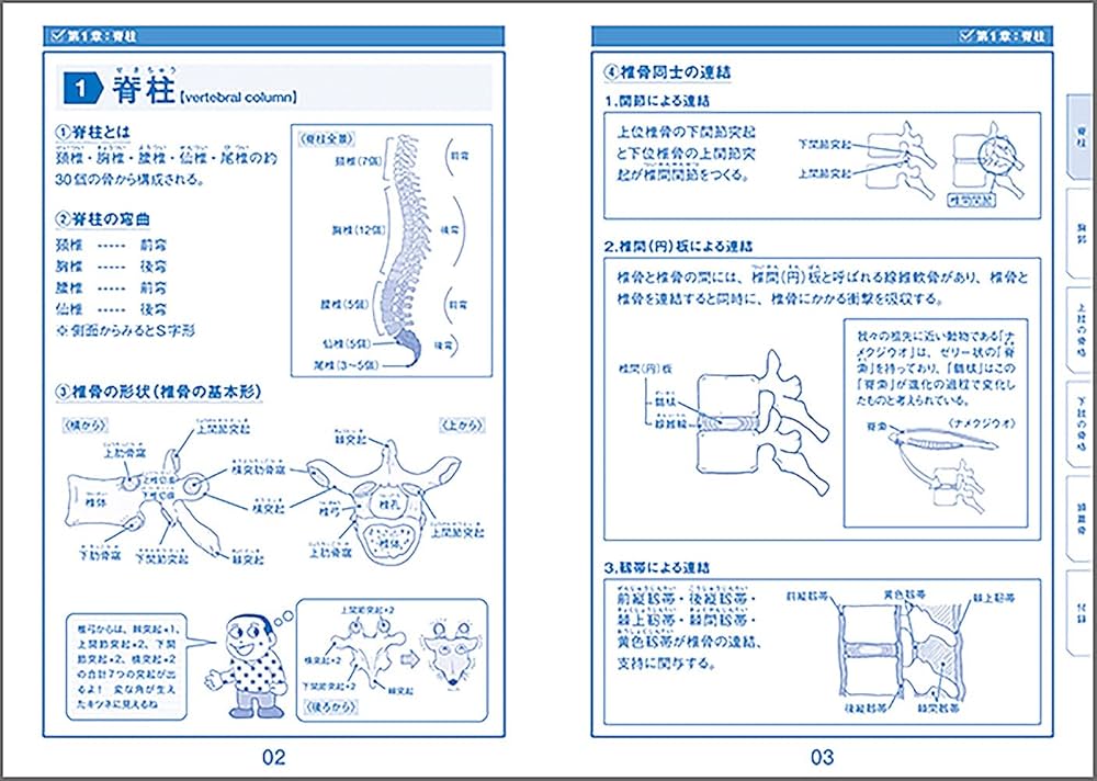 イラスト解剖学 jintan-100_j9990pl